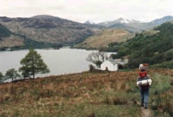 Schottland, 1994