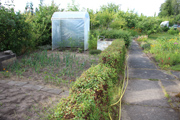 Garten 2014, Bild 1