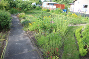 Garten 2014, Bild 2
